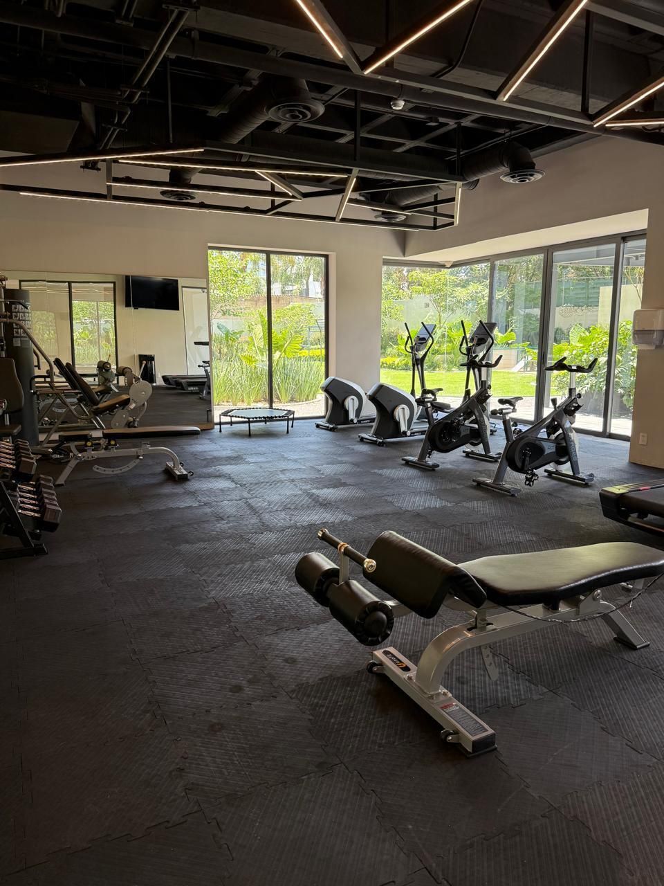 26 de 27: Gimnasio