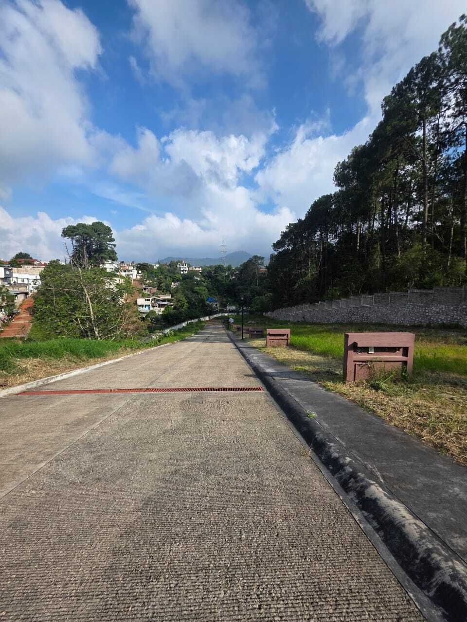4 de 11