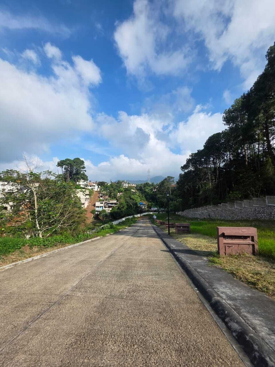 5 de 11