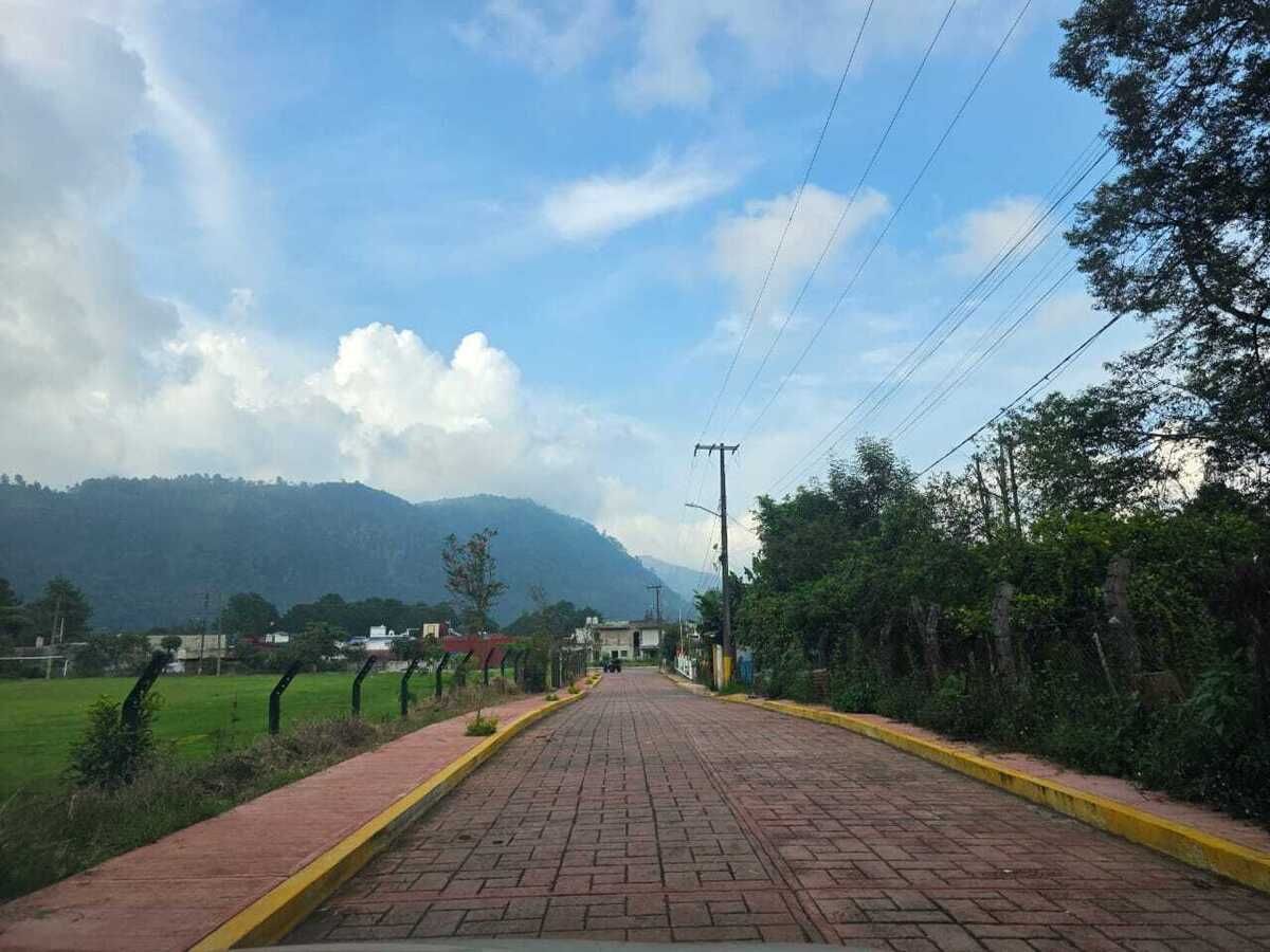 11 de 11