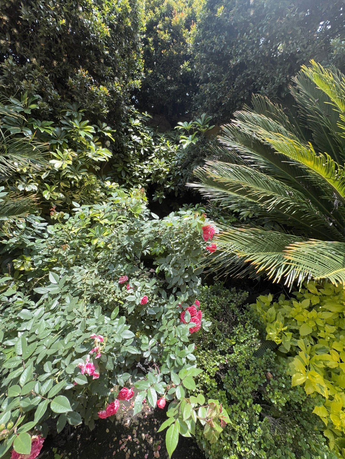1 de 2