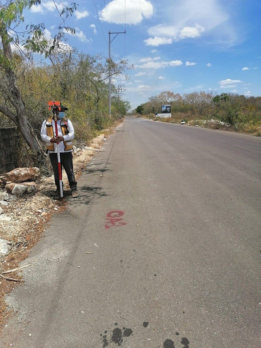Imagen 3 de 6