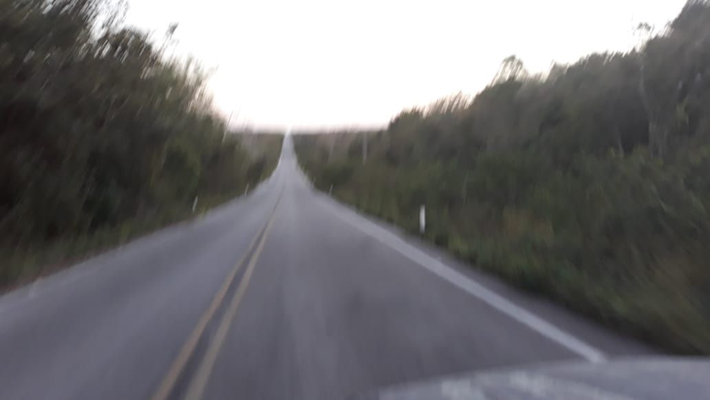 12 de 20