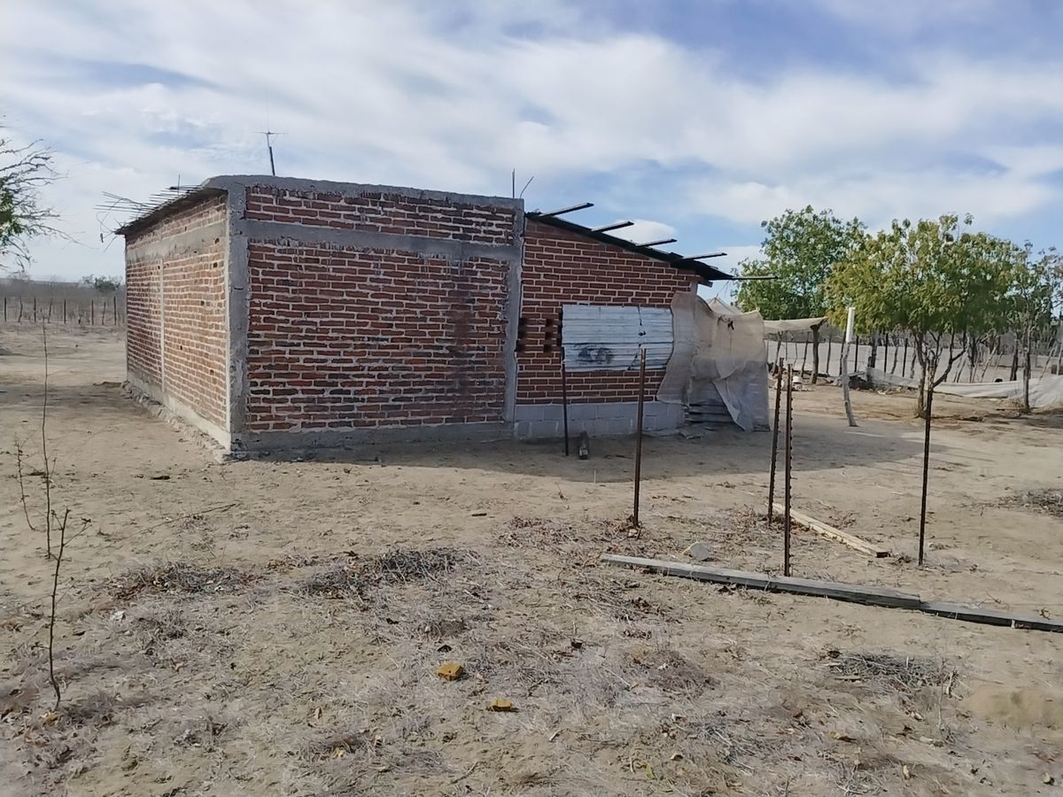 7 de 13