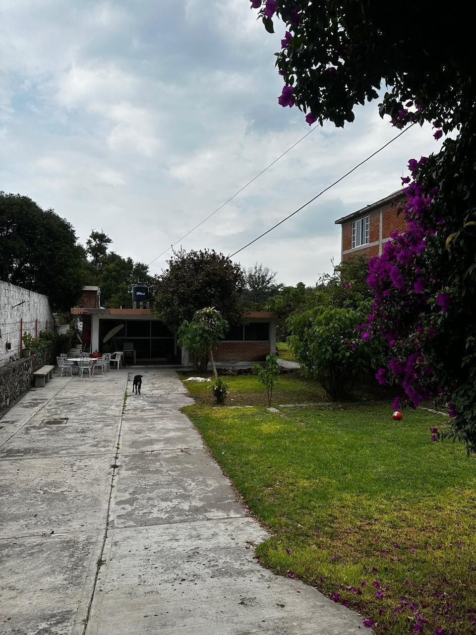 Imagen 6 de 10