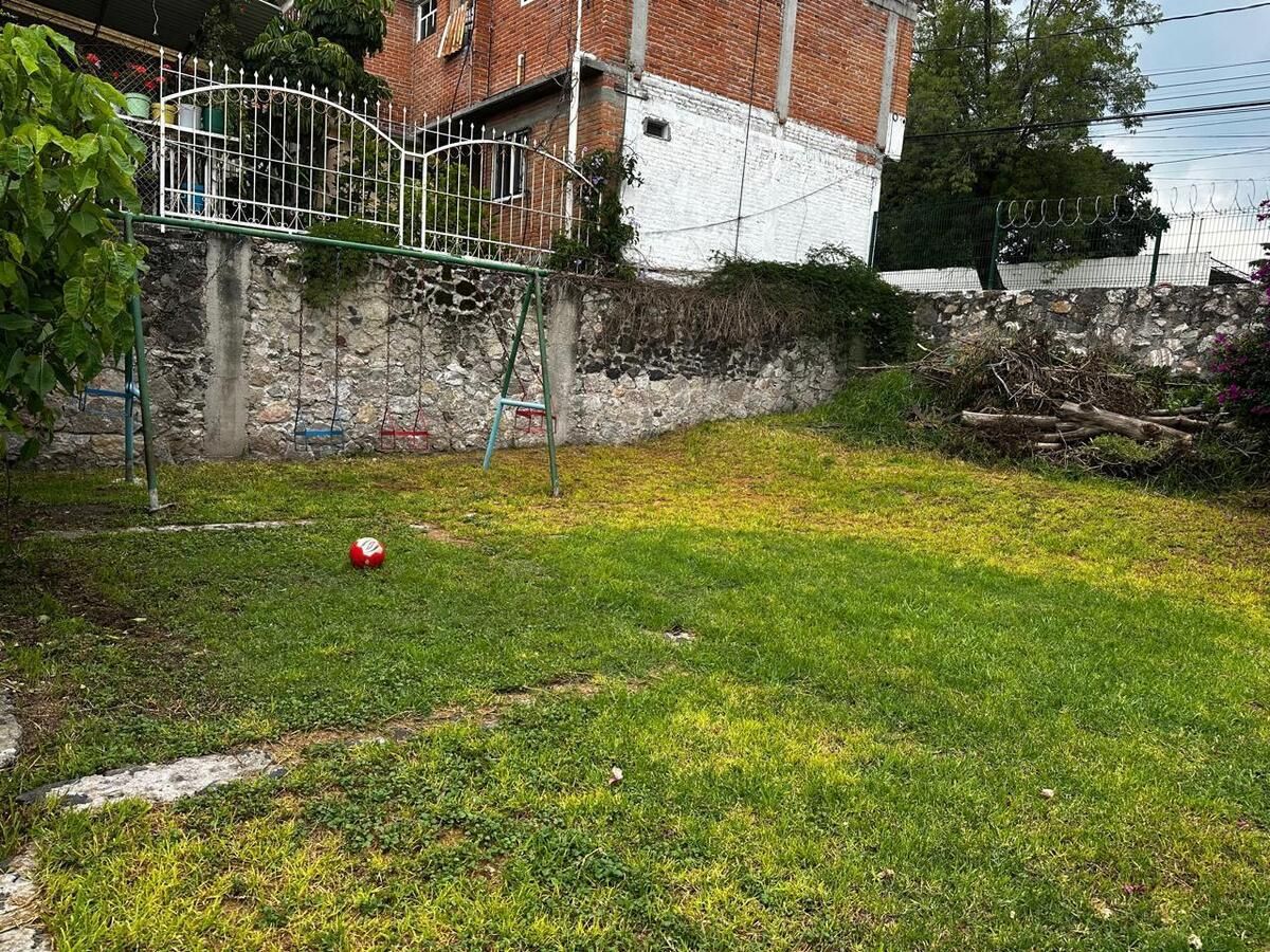 Imagen 7 de 10