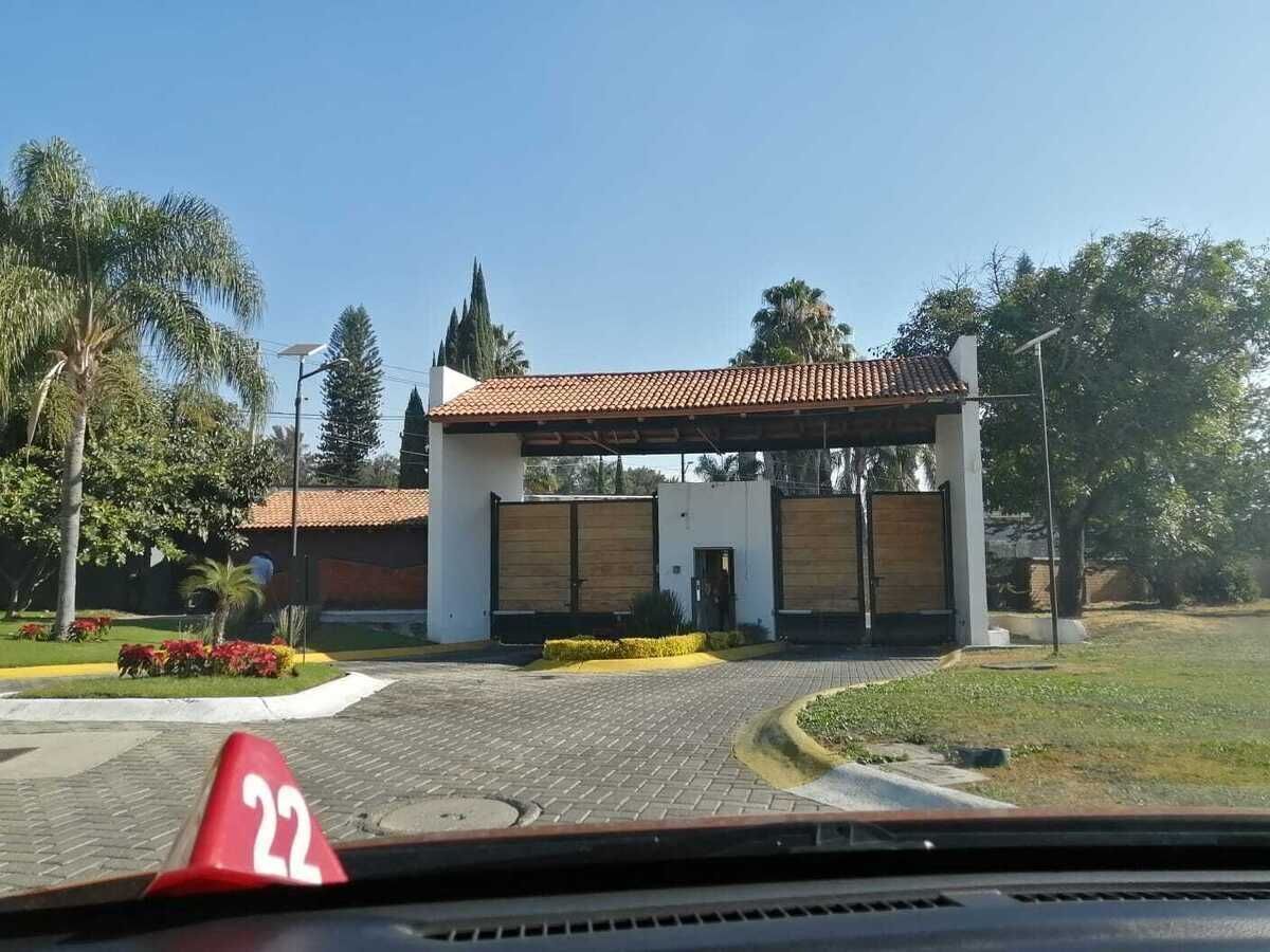 5 de 6