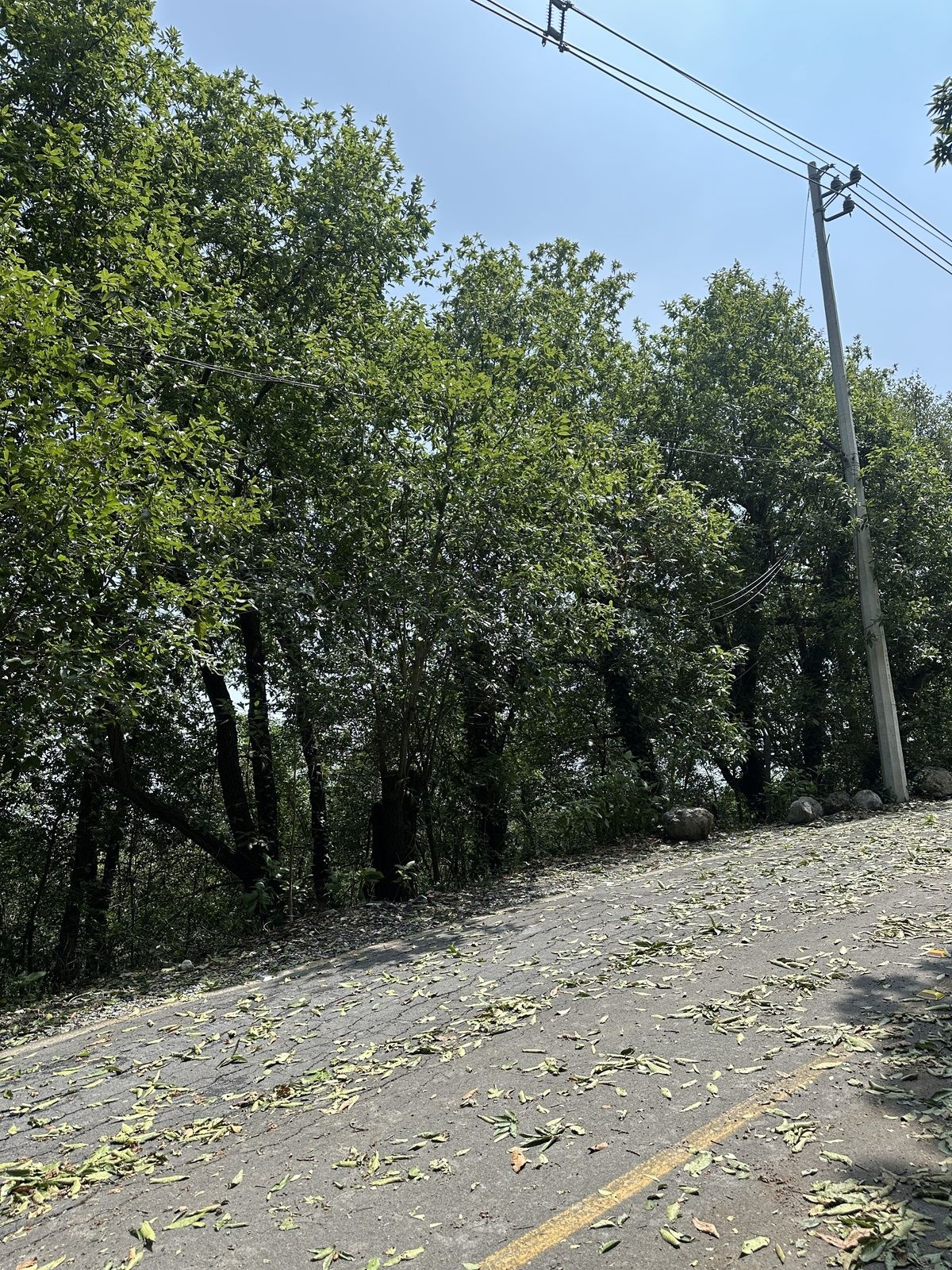 1 de 10