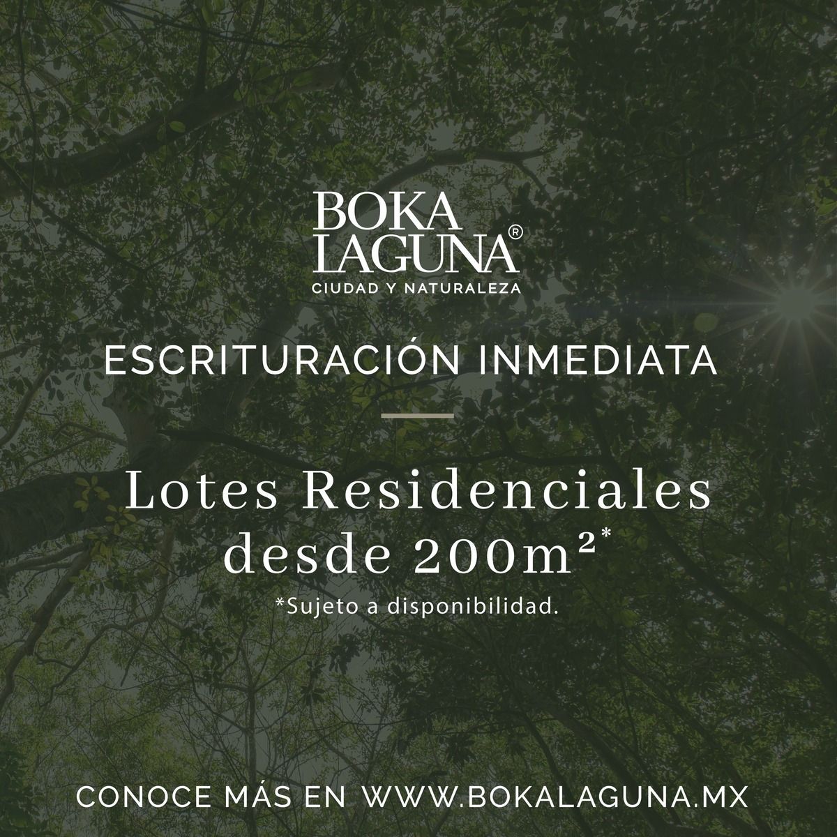 2 de 12