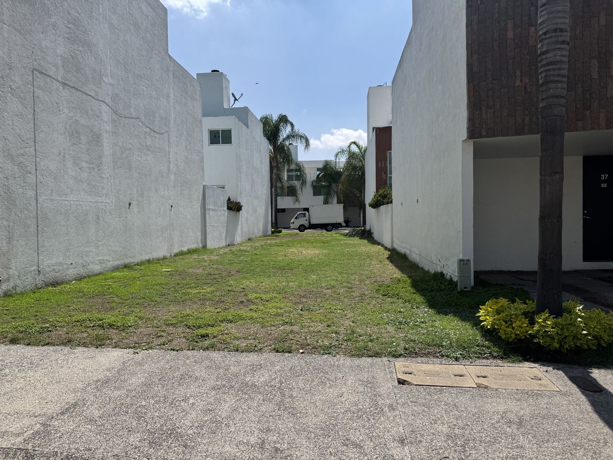 11 de 16