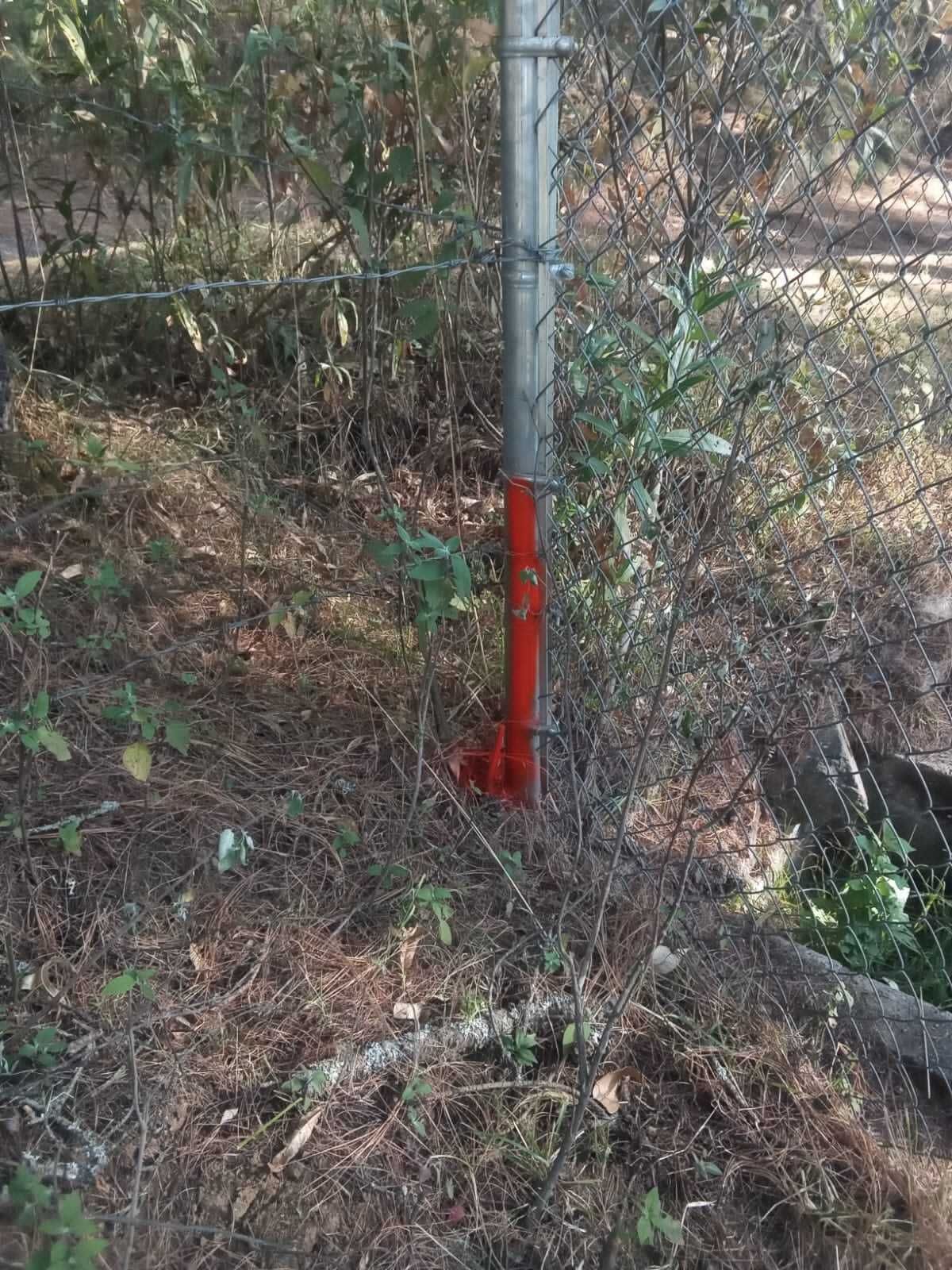 2 de 11