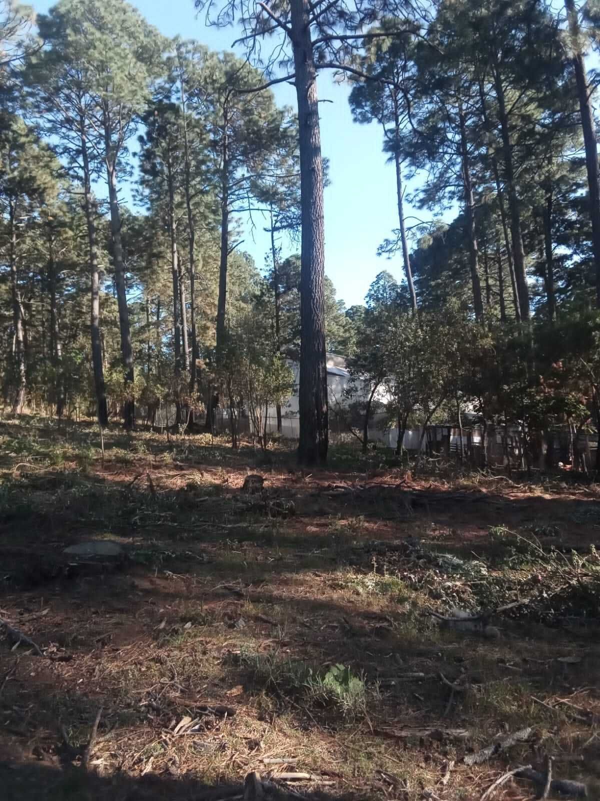 5 de 11