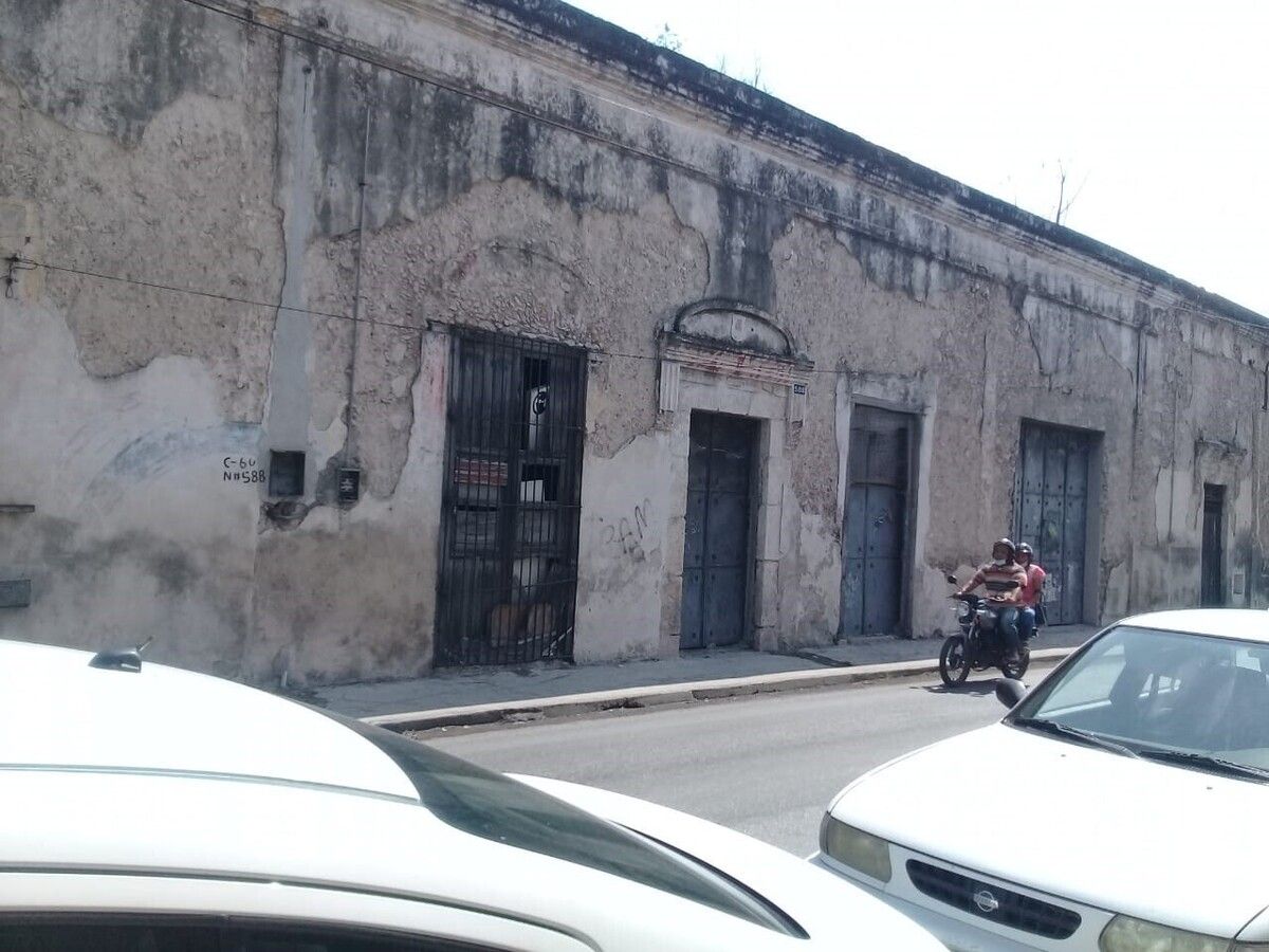 4 de 14