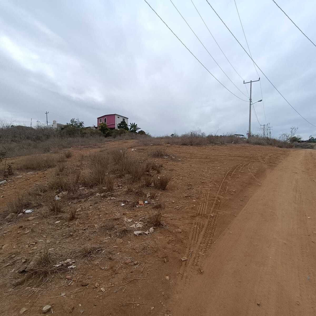 8 de 26