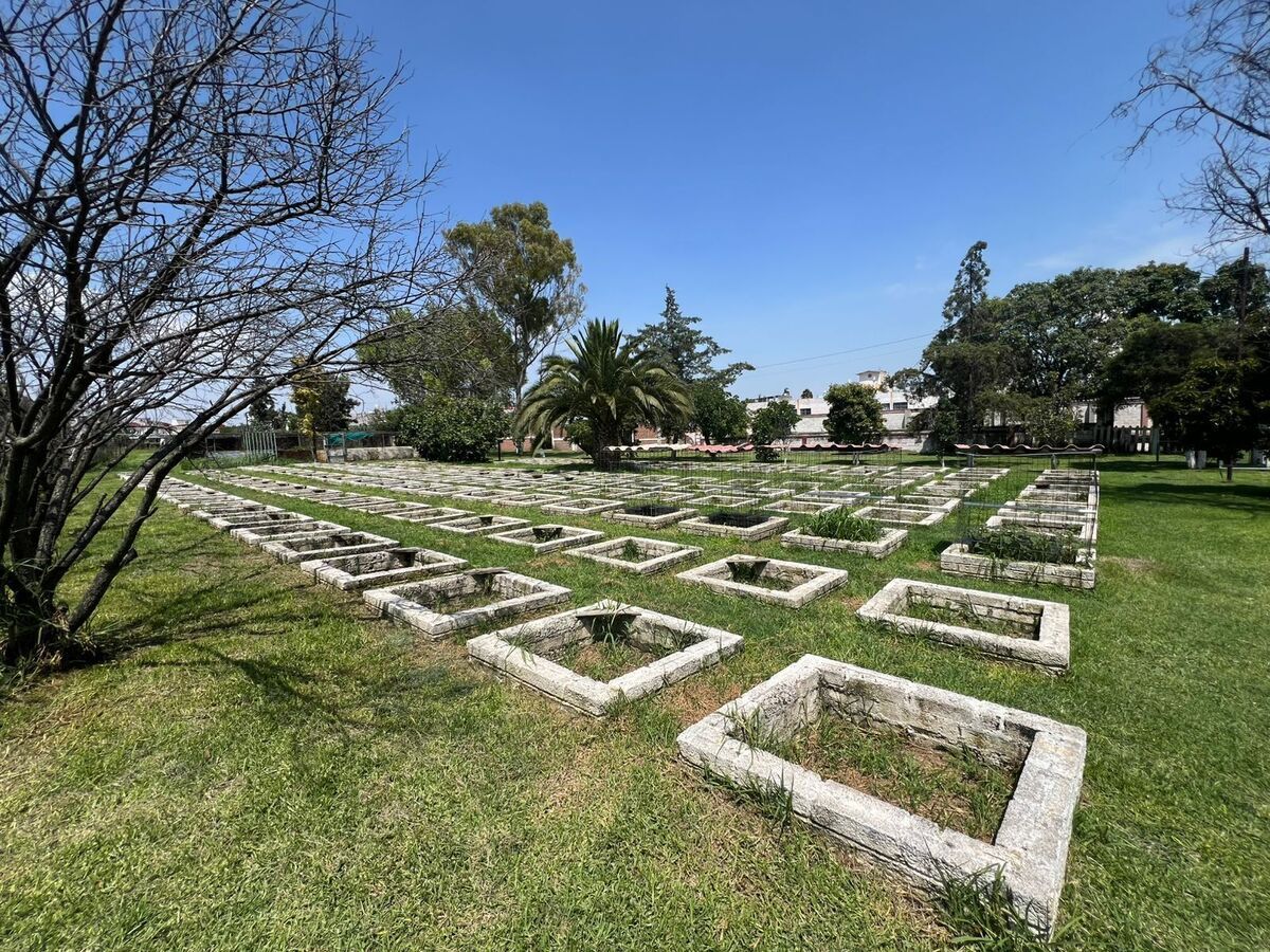 5 de 32: Terreno