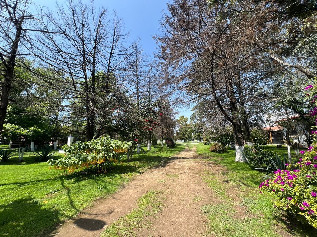 3 de 32: Terreno pasillo
