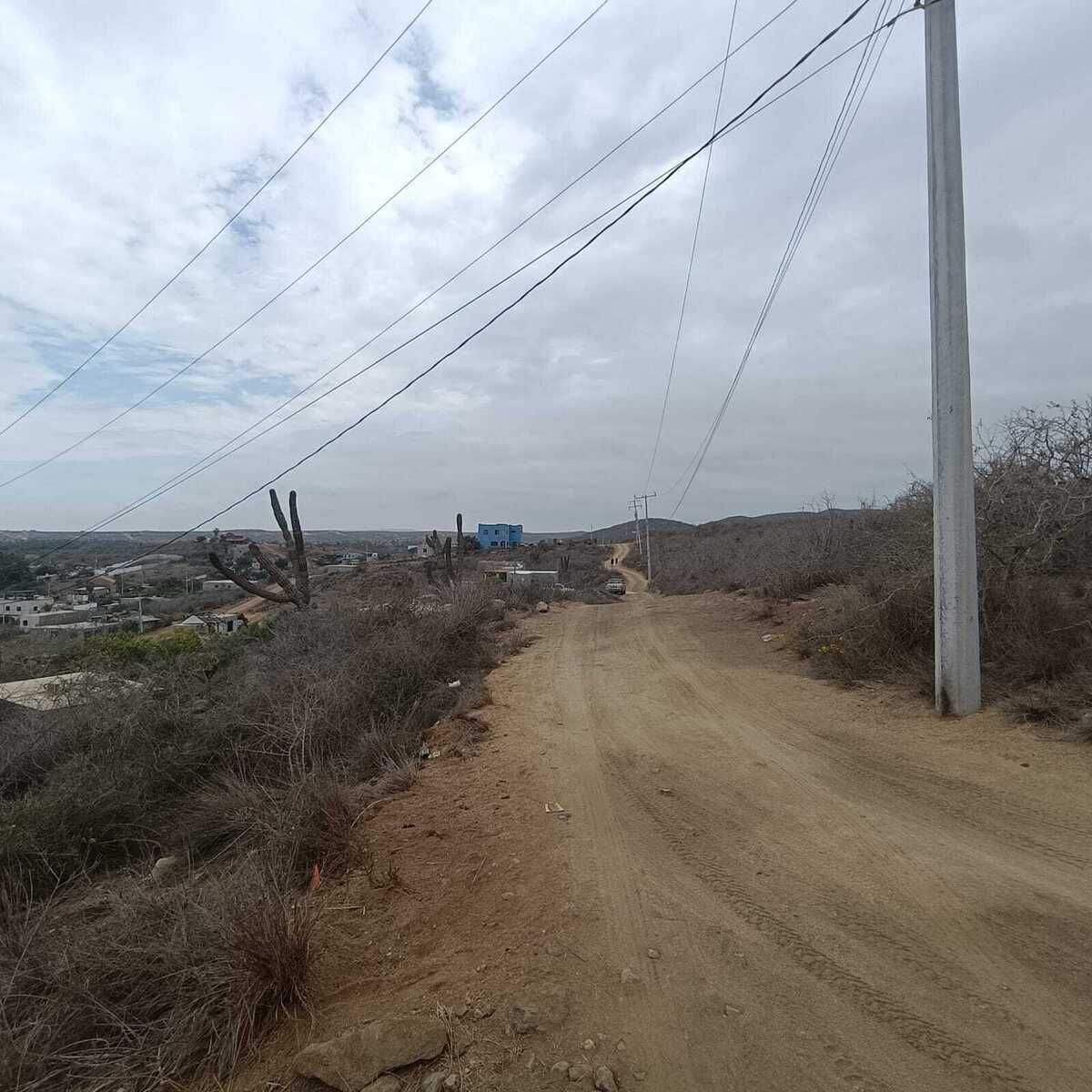 4 de 23
