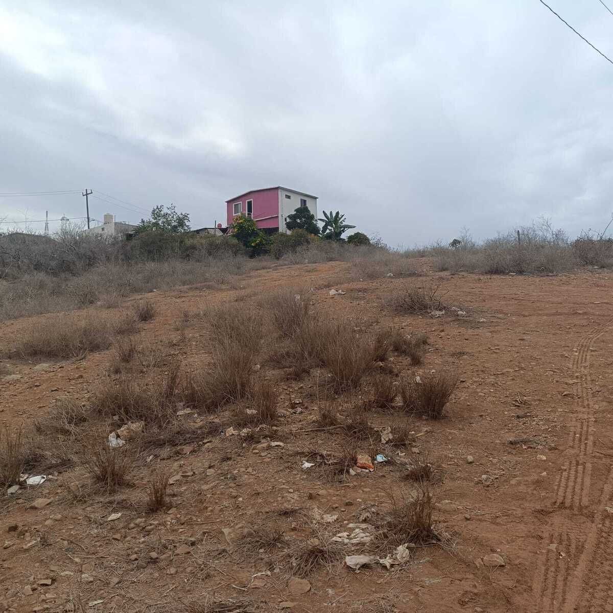 6 de 23