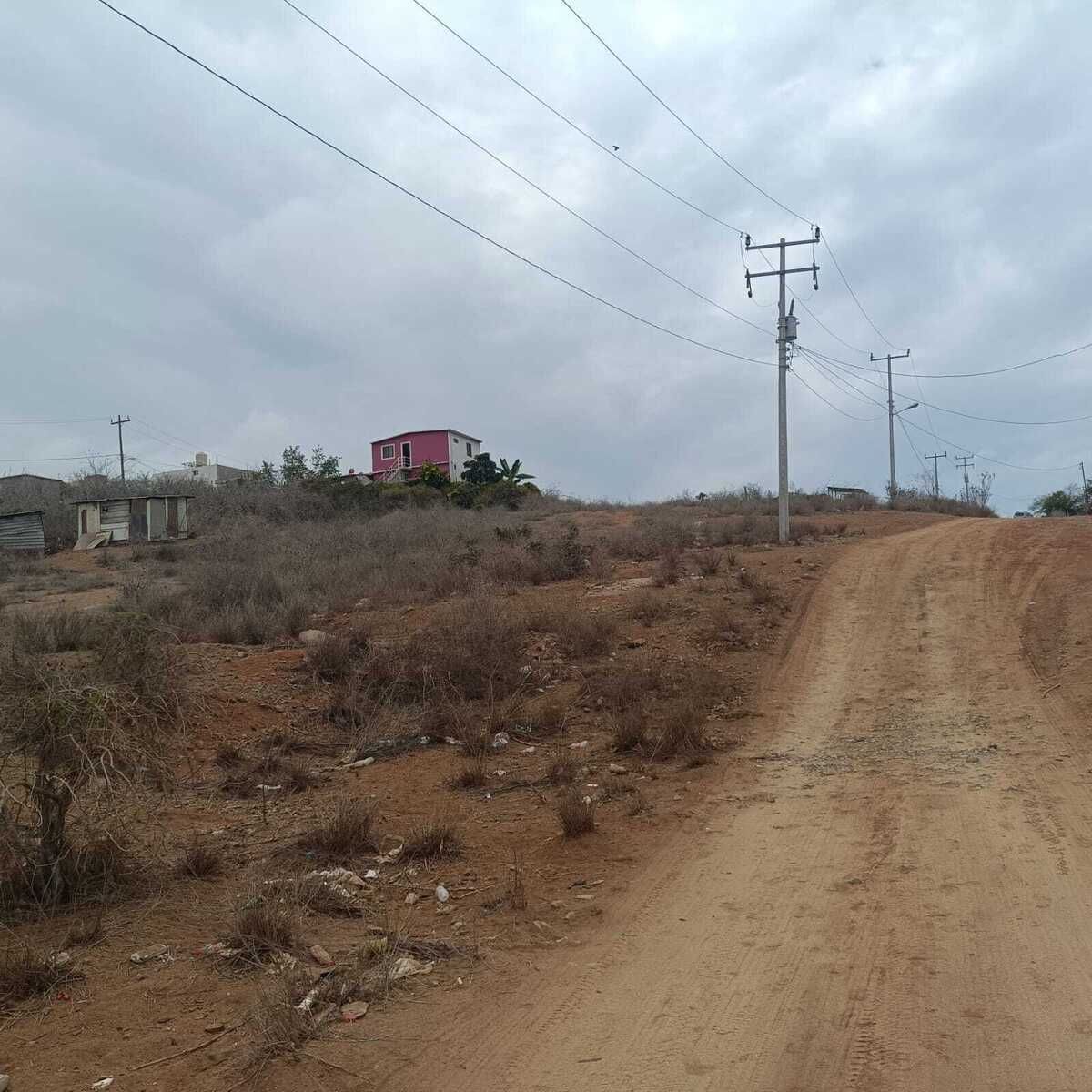 11 de 23