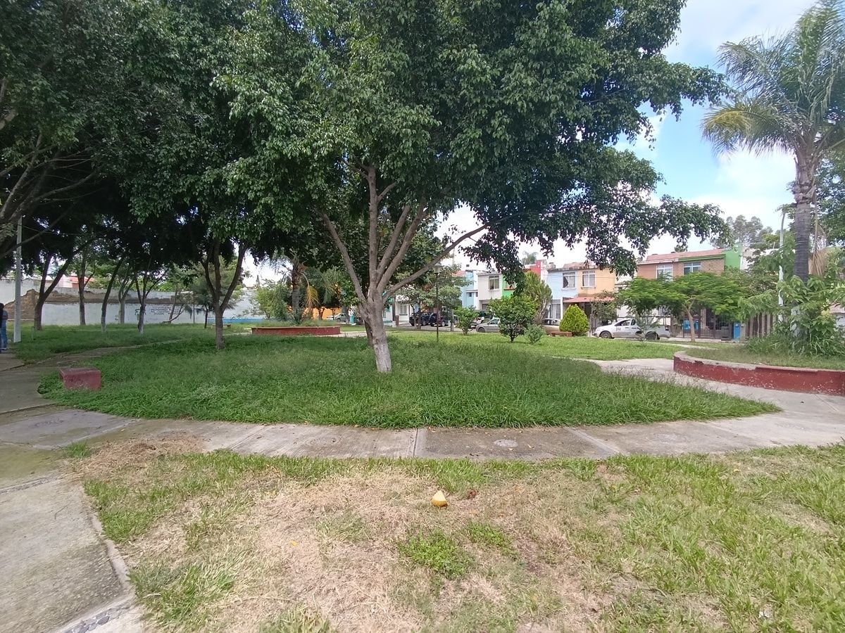 17 de 19