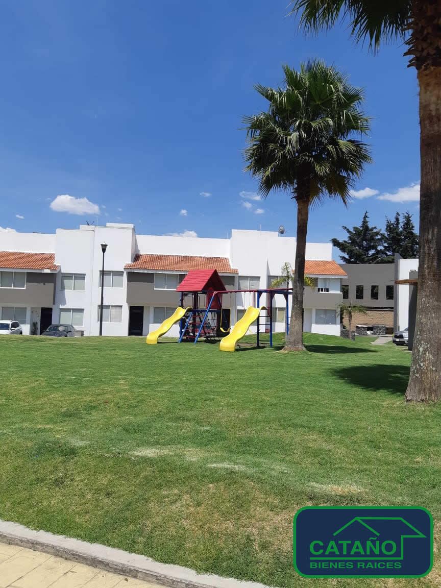 2 de 12