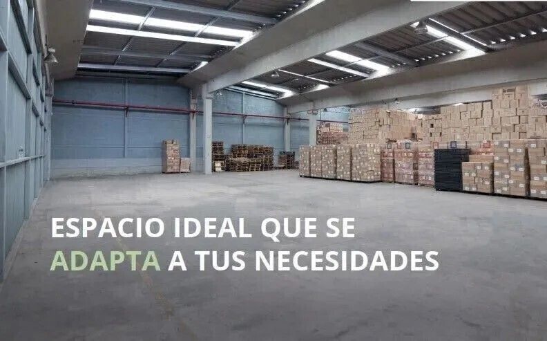 4 de 11