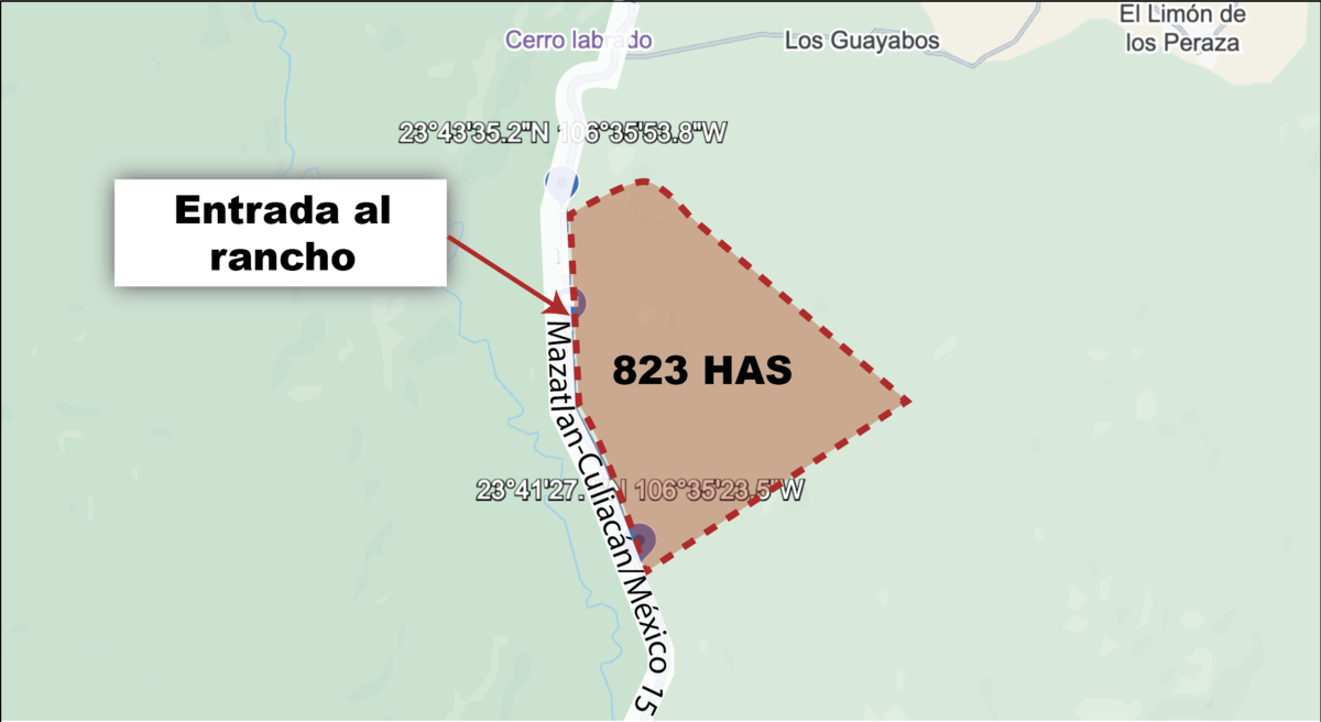 3 de 6