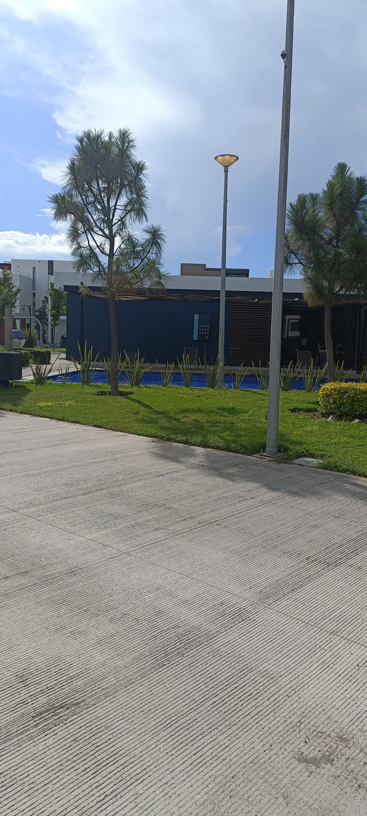 6 de 13
