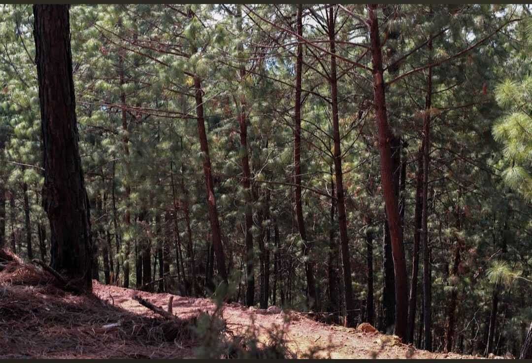 3 of 7