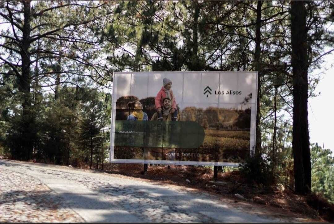 1 of 7