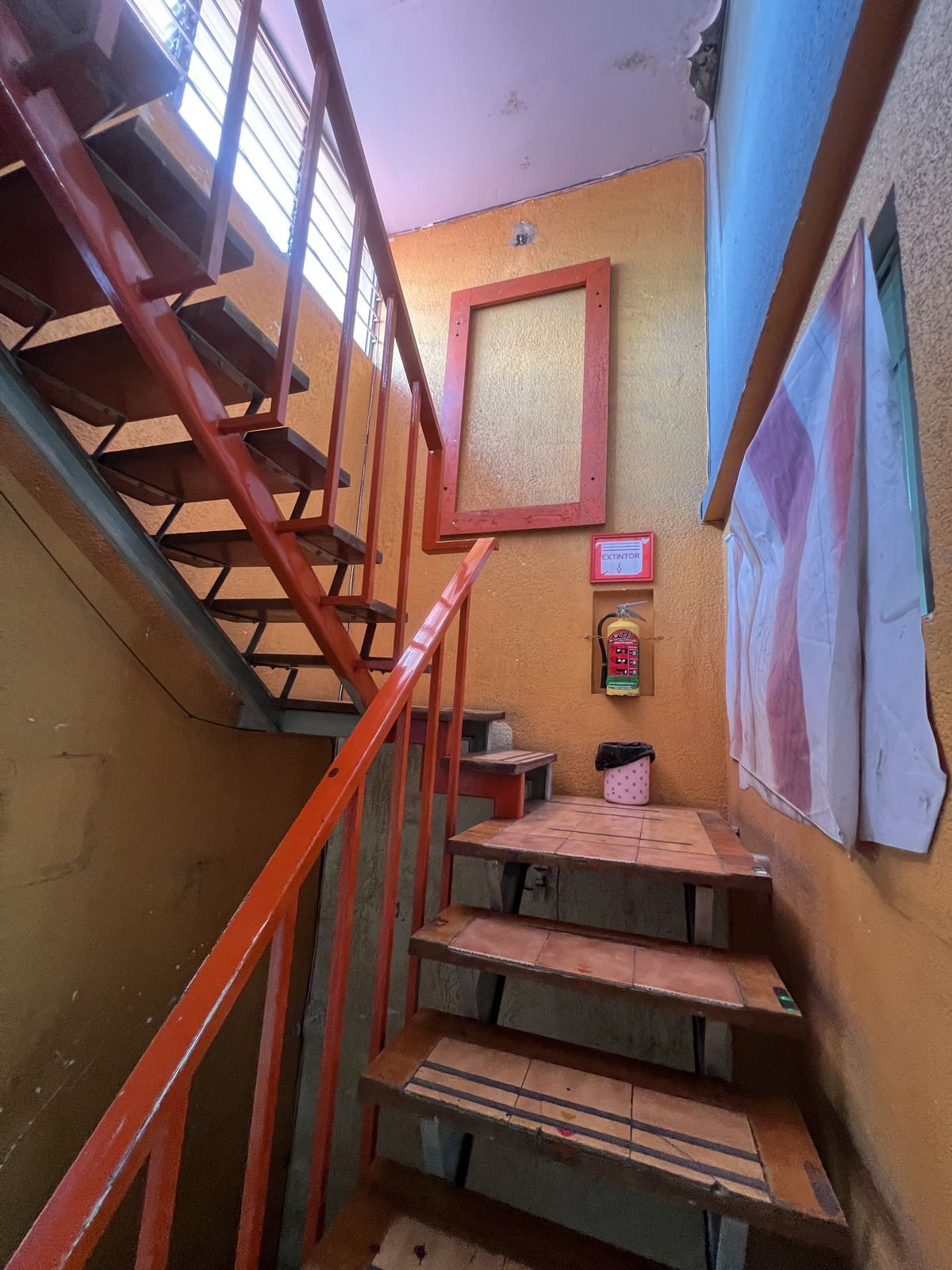 19 de 29