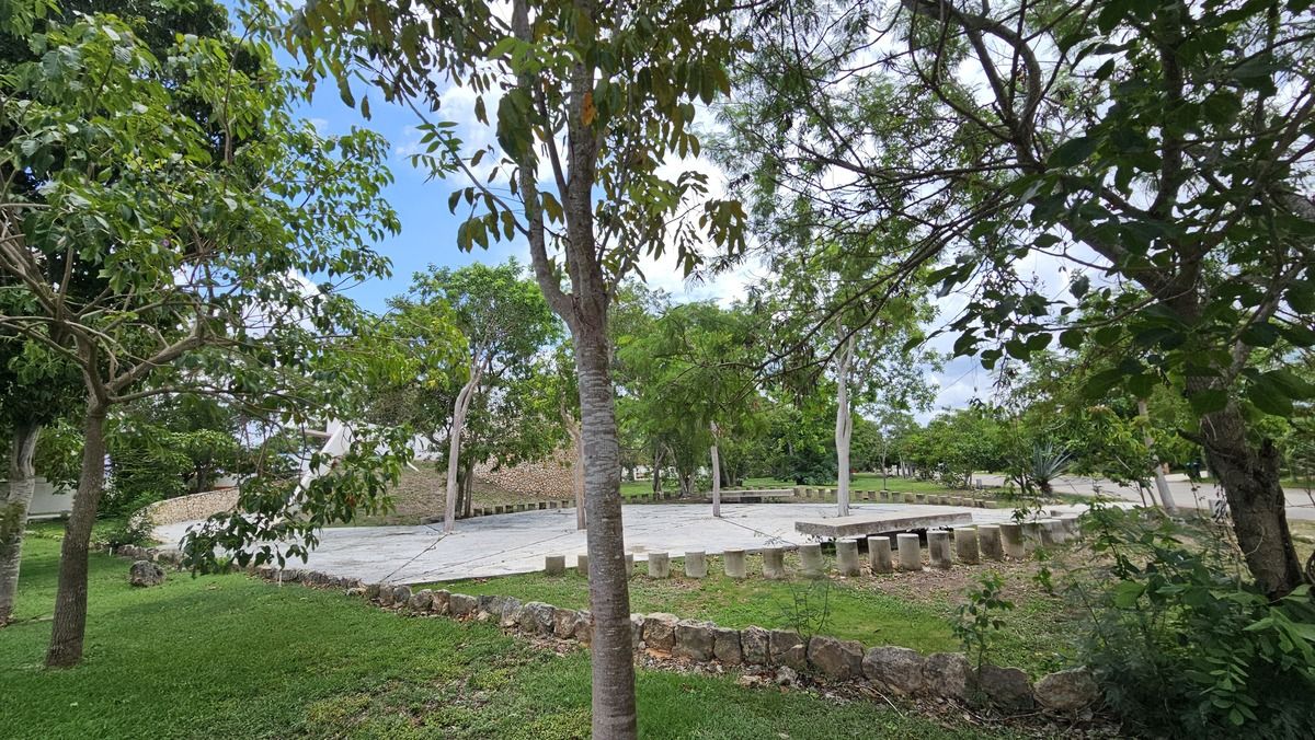 17 de 19: Parque