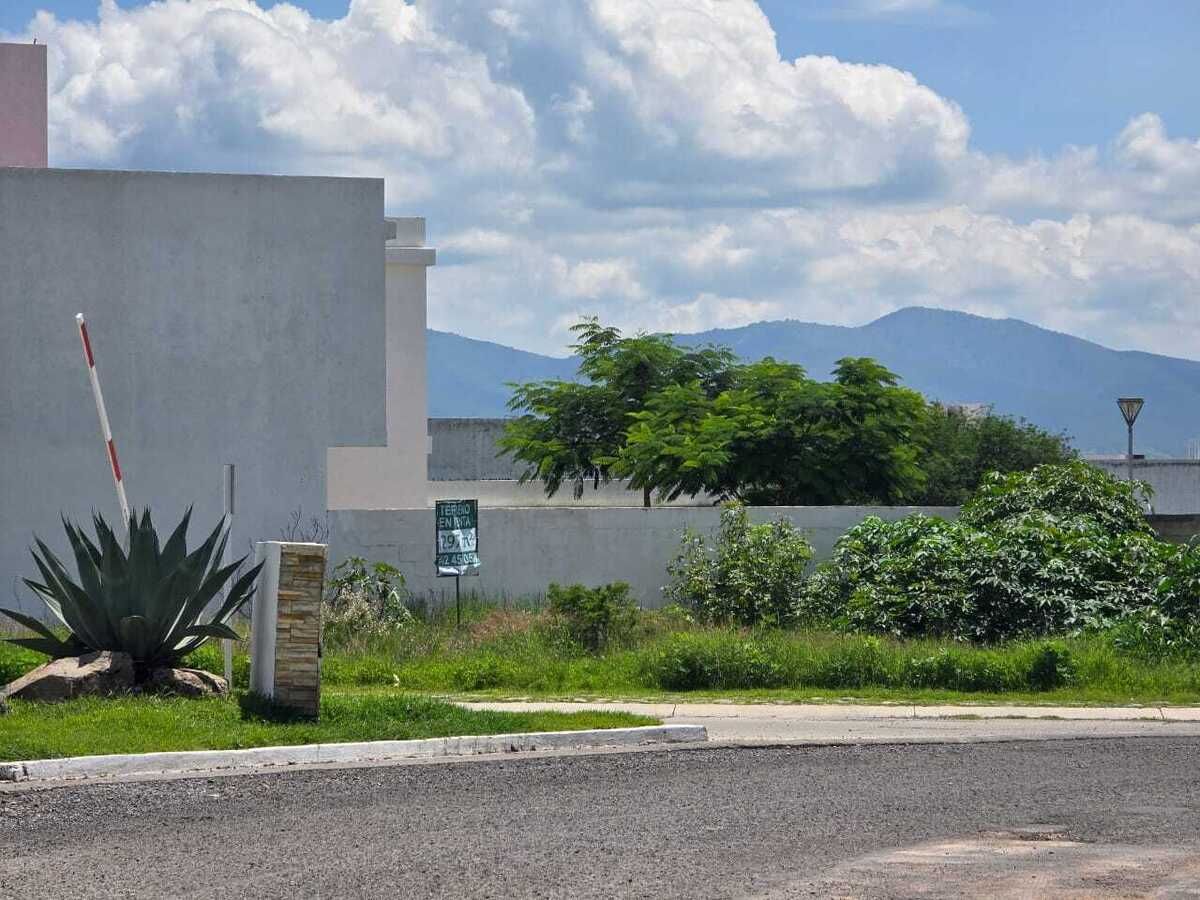 6 de 16