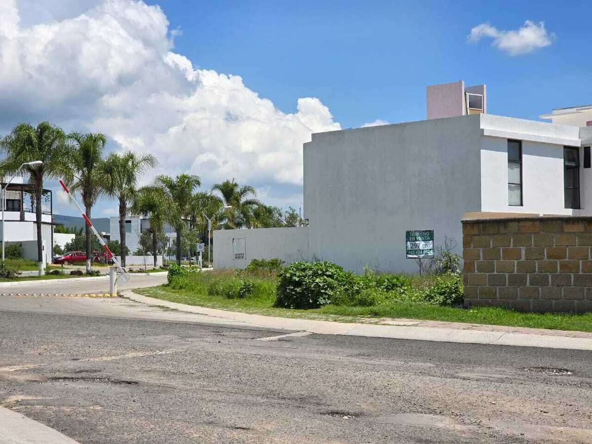 13 de 16