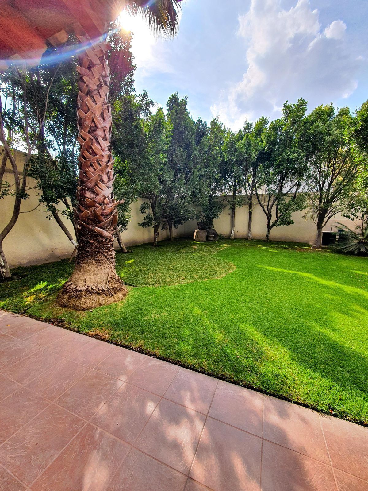 5 de 20