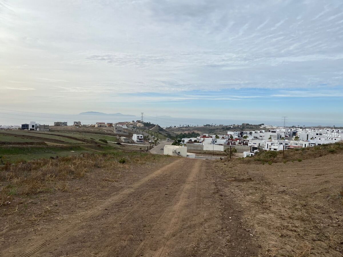 11 de 20