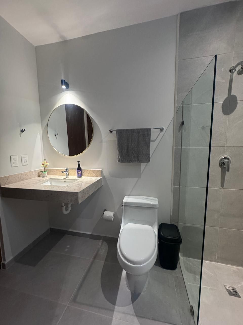 4 de 29: Baño ( cuenta con carpintería abajo del lavabo)