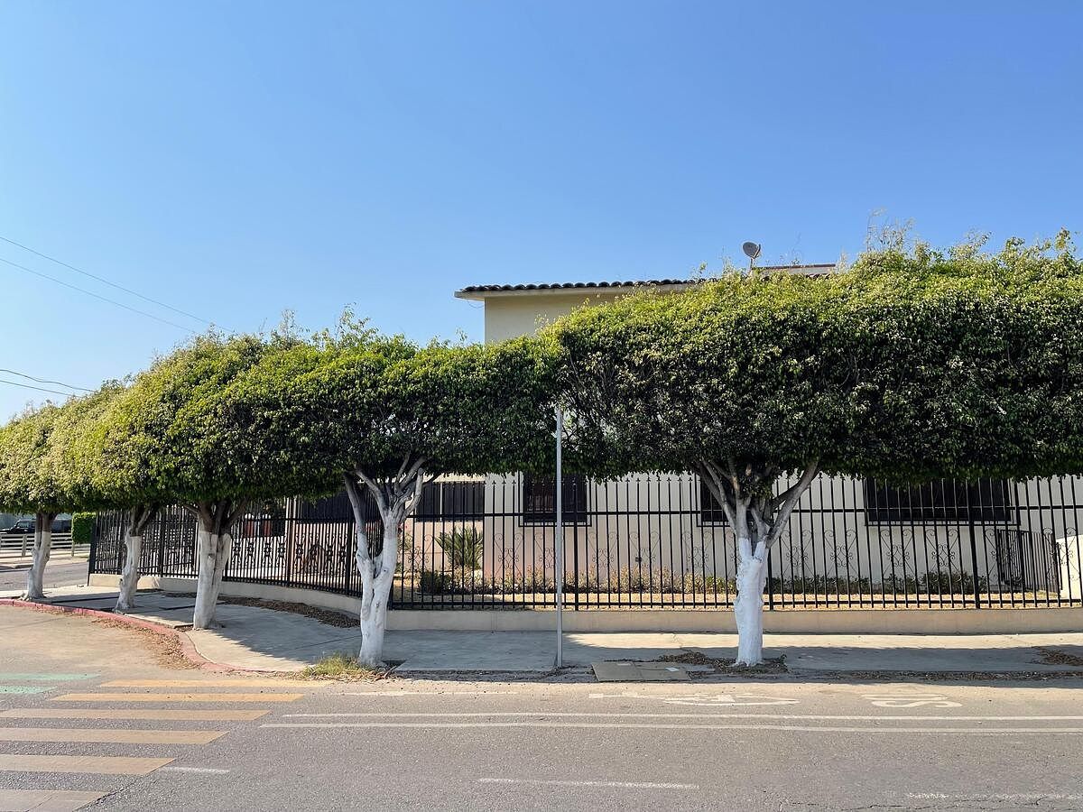 Casa en Bahía, Ensenada, foto 14 de 27