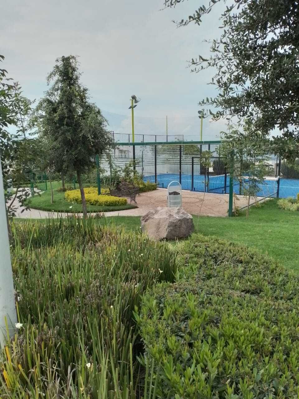 11 de 11