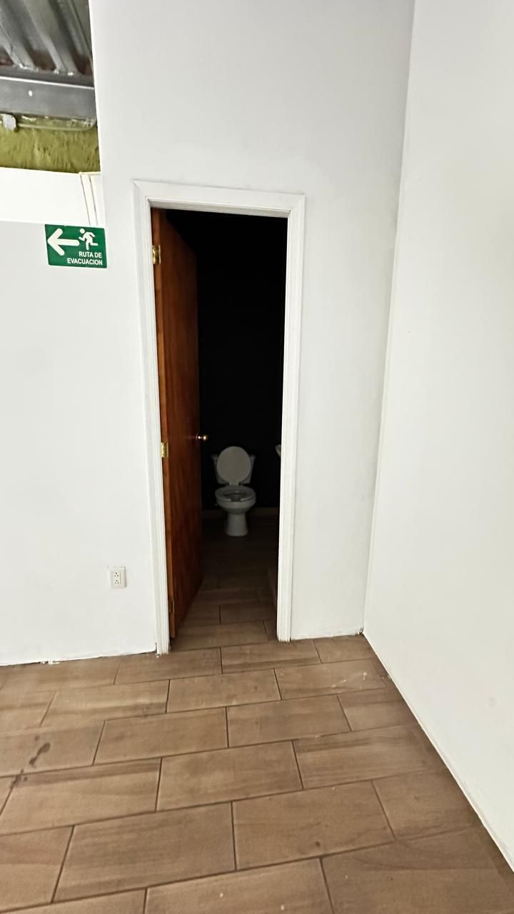 3 de 12