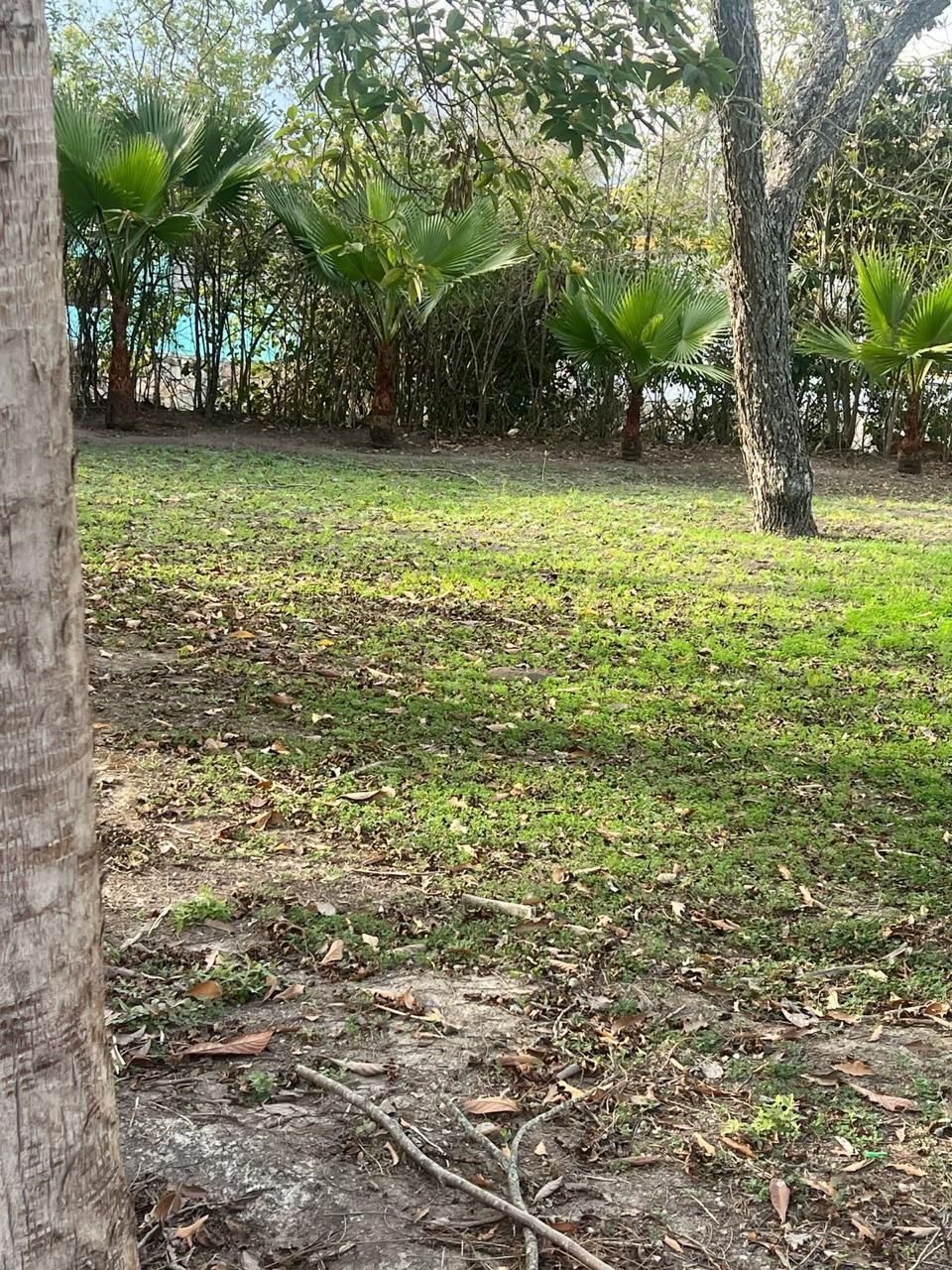 5 de 24