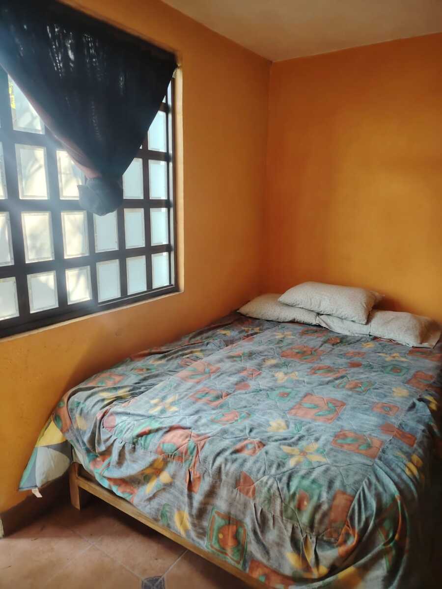 28 de 29