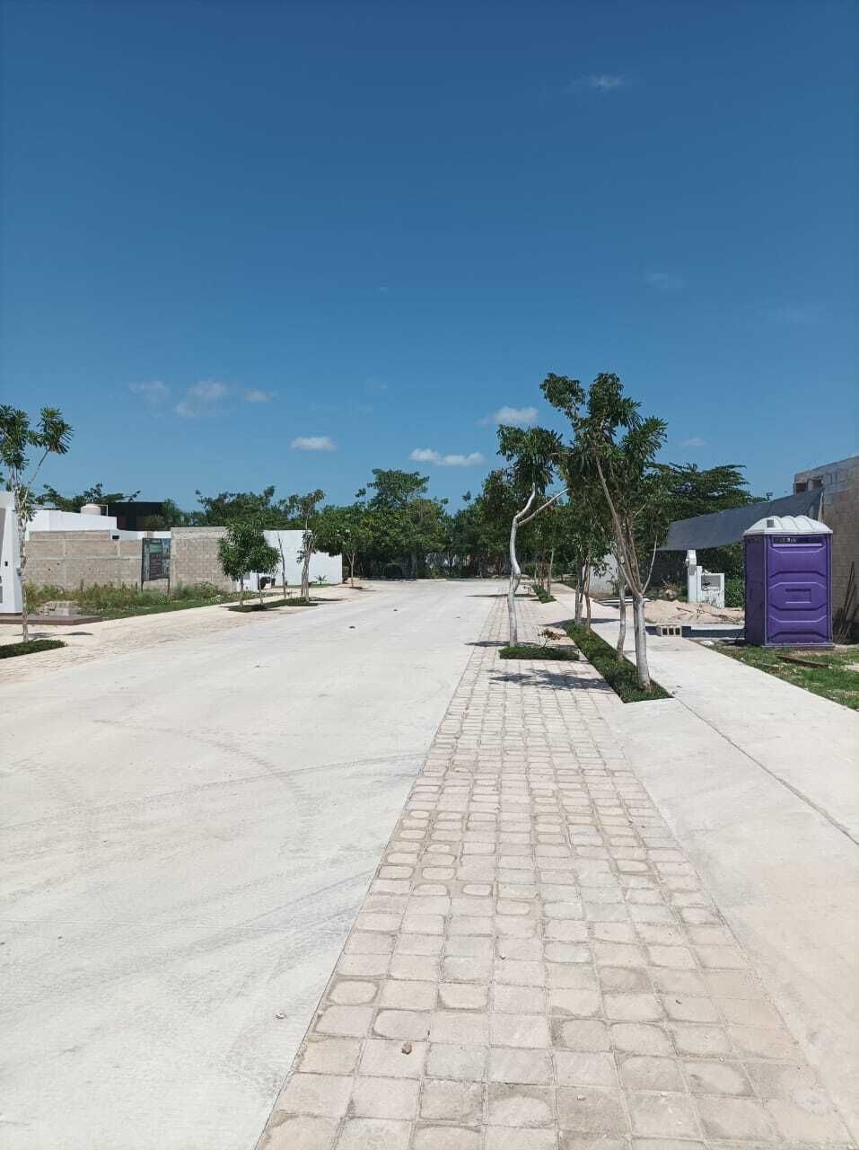 12 de 14