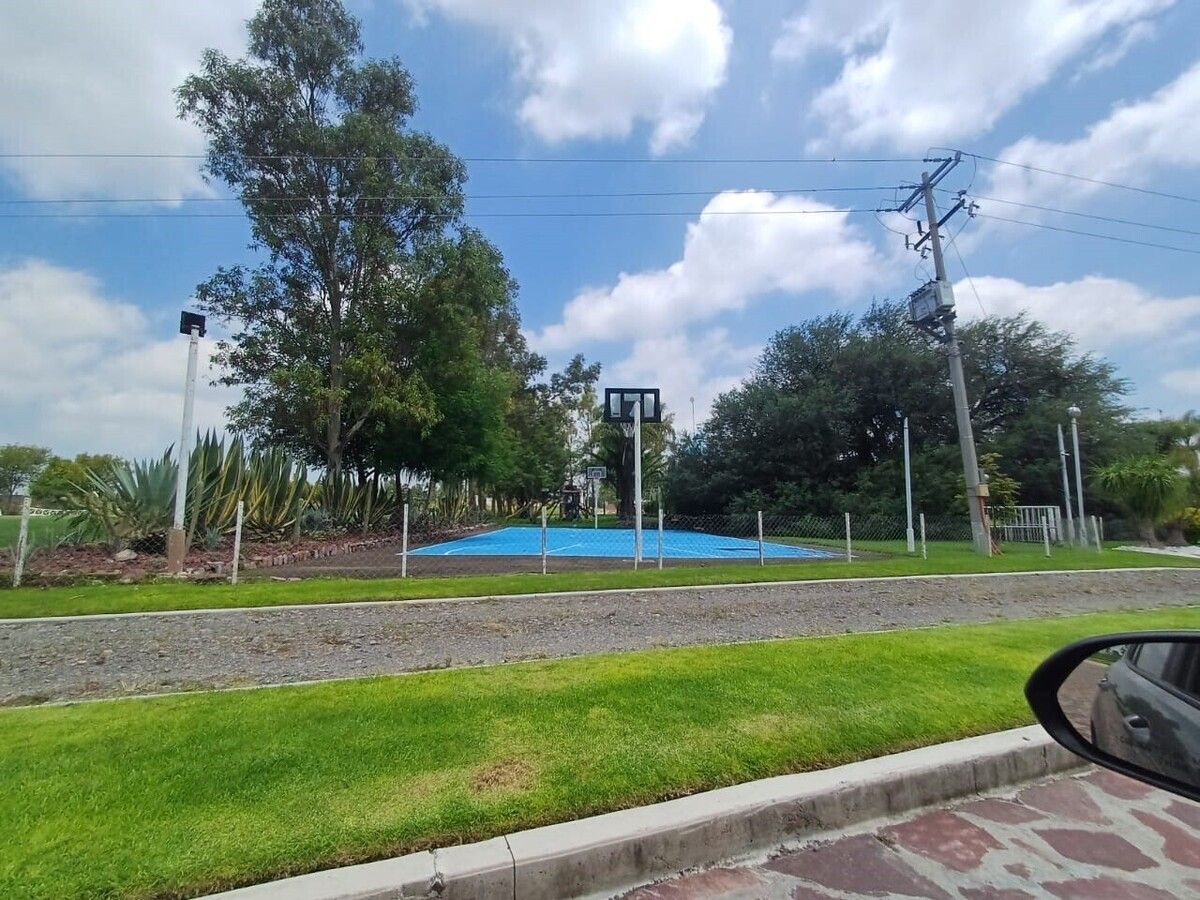 7 de 16