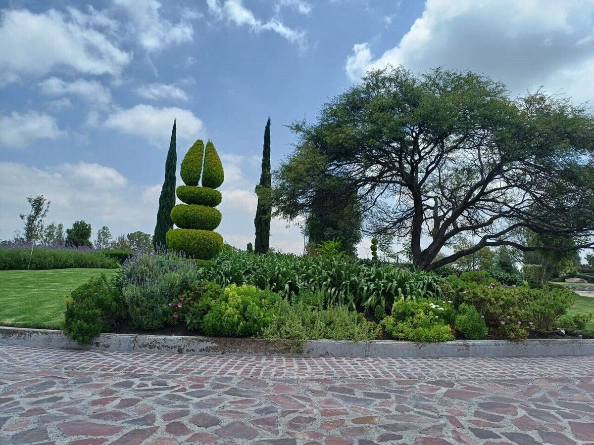 16 de 16