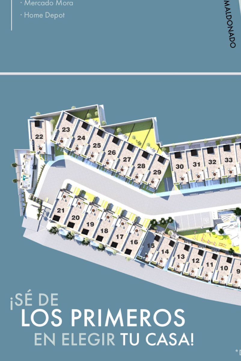 6 de 6