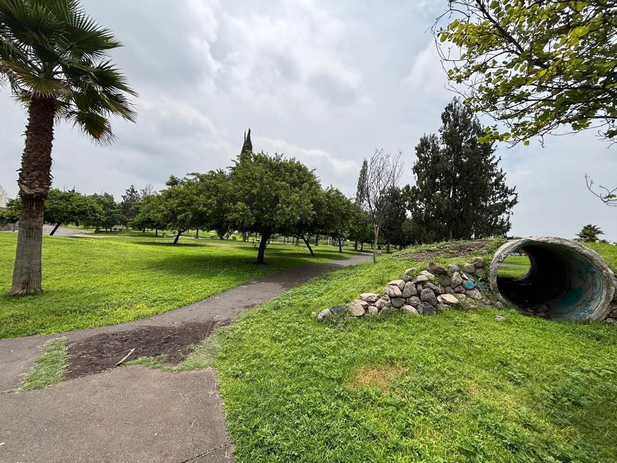 46 de 49: Áreas verdes que invitan a ejercitarte .