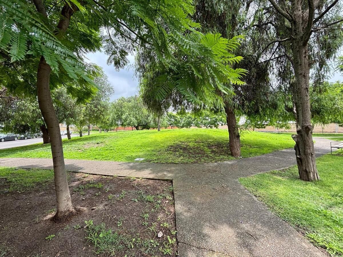 48 de 49: Disfruta de caminatas en las áreas verdes de Sonterra .