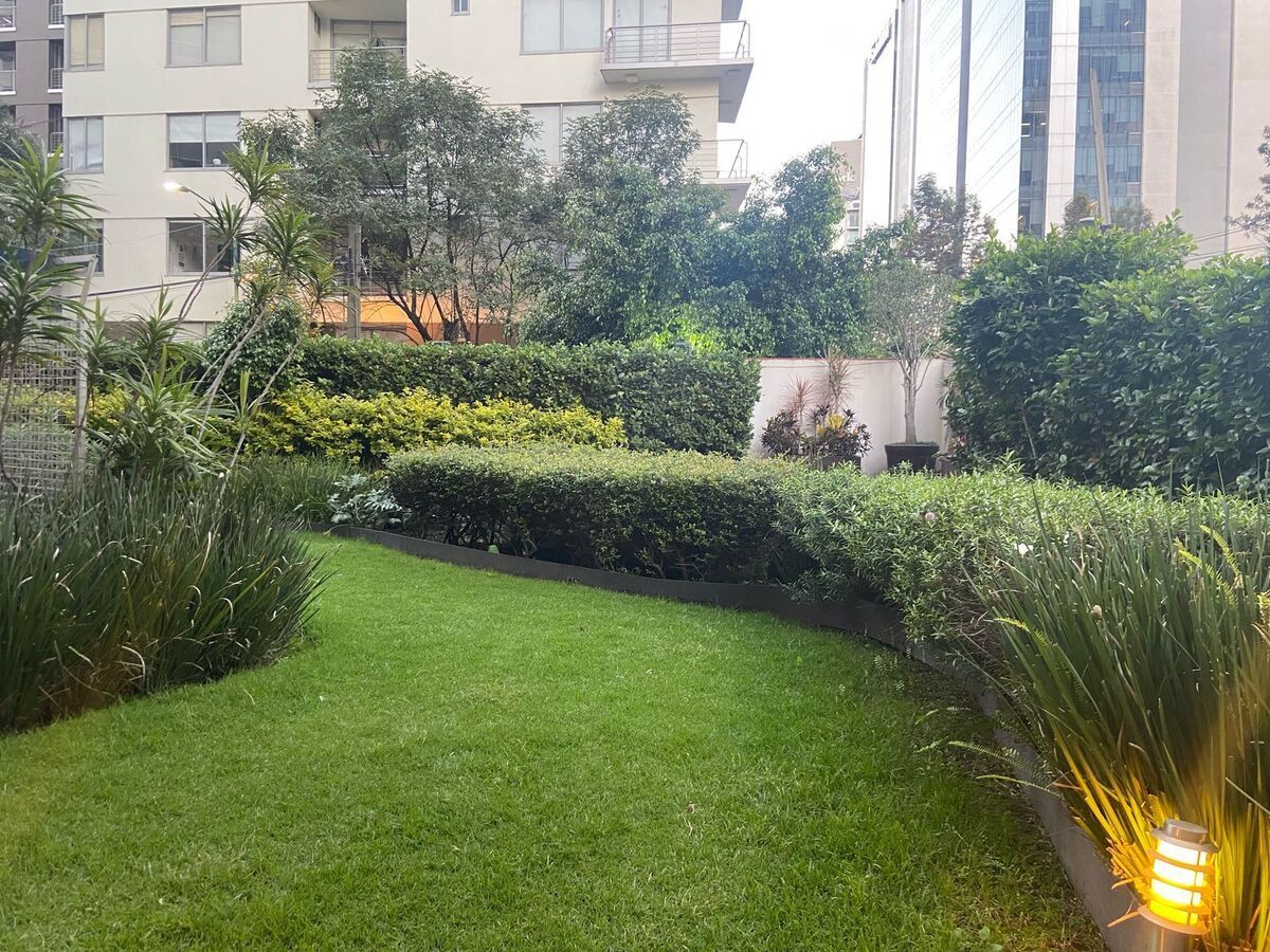 9 de 26: Jardin