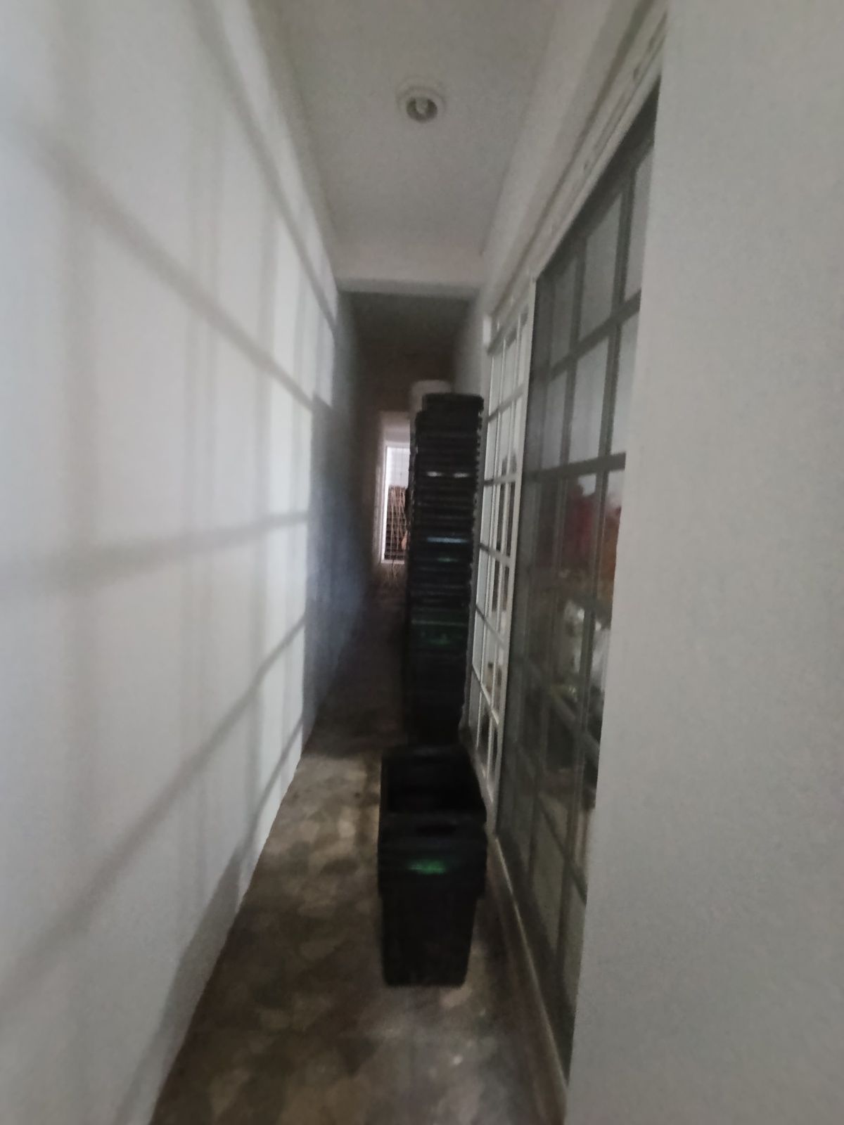 32 de 33